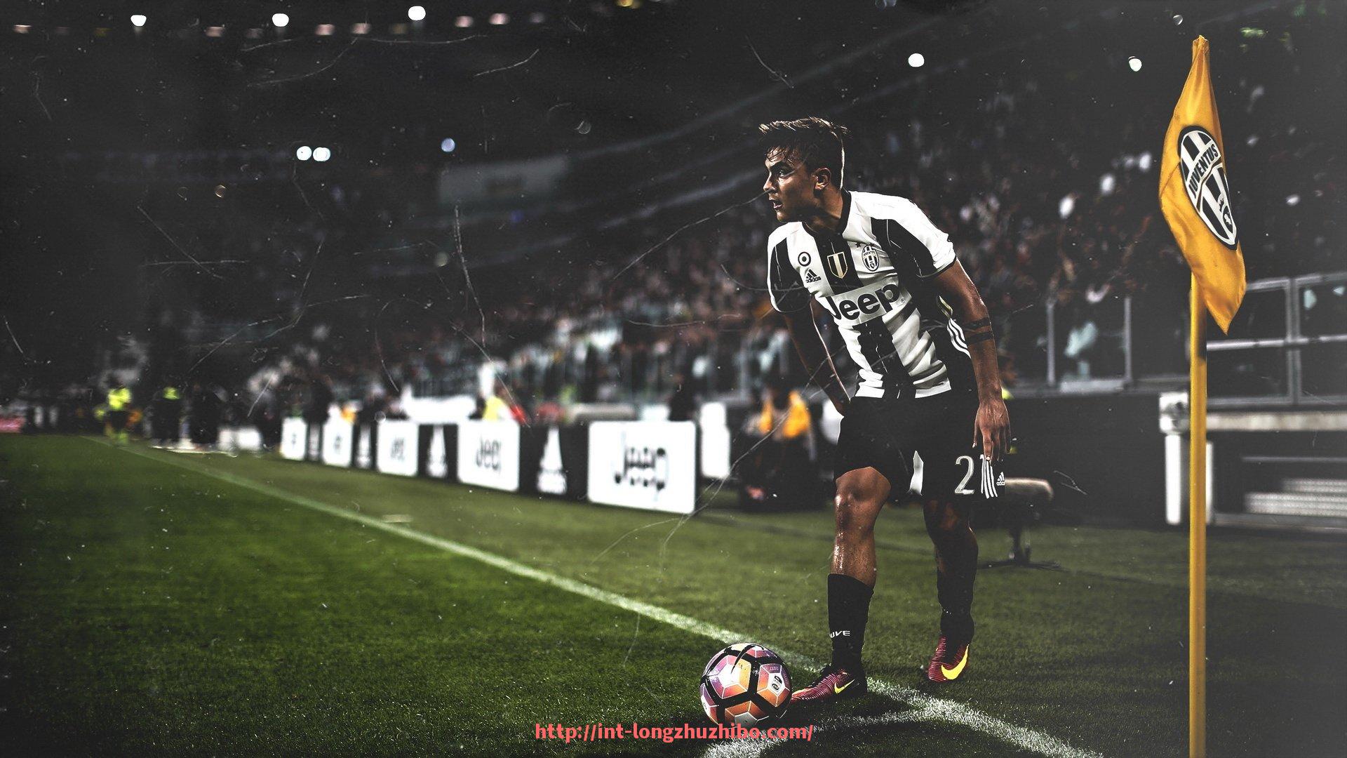 龙珠直播-聊城室内健身器材公司的服务范围与产品优势