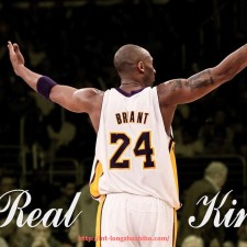 龙珠直播-佛山CBA球队2015年名单及赛季总结