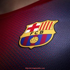 龙珠直播-家庭健身器材哪家最好？体育品牌用户满意度排行